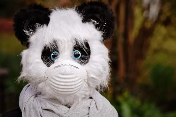 היי ספין קזינו תמיכה